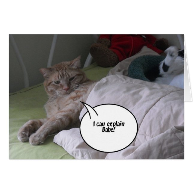 Es tut mir leid, dass ich grüße (Vorderseite (Horizontal))