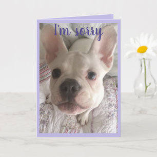 Es tut mir leid, HANGRY Card Französischer Bulldog Karte