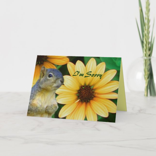 Es tut mir leid/irgendeine Occasion_ Karte (Vorderseite)