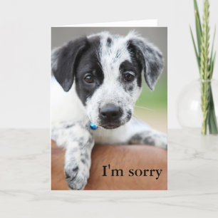 Es tut mir leid karte