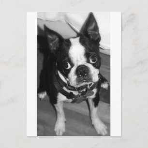 ES TUT MIR LEID POSTKARTE