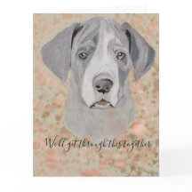 Es tut mir leid. Wir werden das gemeinsam durchmac