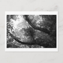 Es war einmal im Wald