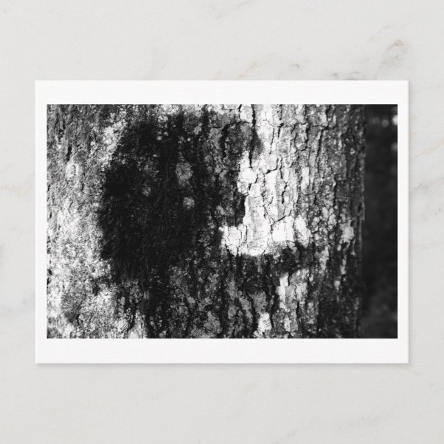 Es war einmal im Wald Postkarte (Vorderseite)