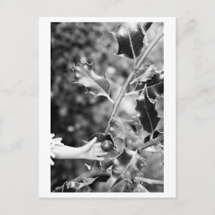 Es war einmal im Wald Postkarte