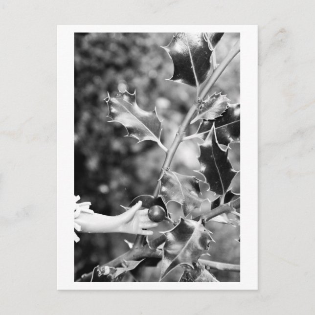 Es war einmal im Wald Postkarte (Vorderseite)