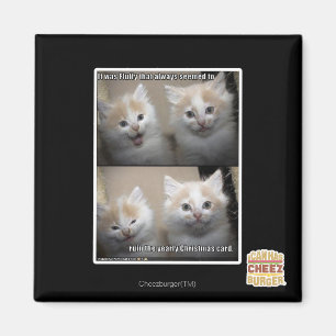 Es war flaumig magnet