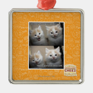 Es war flaumig silbernes ornament