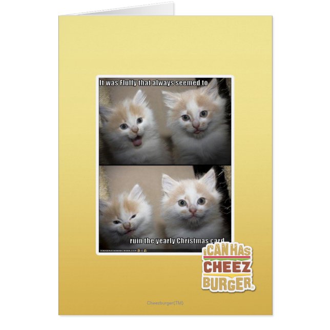 Es war Fluffy (Vorne)