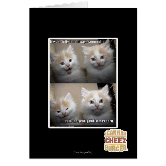 Es war Fluffy (Vorne)