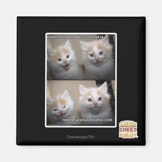 Es war Fluffy Magnet (Vorne)