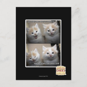 Es war Fluffy Postkarte
