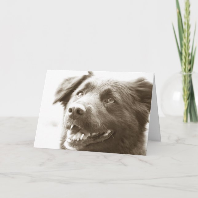 Es war groß, Sie sehend! Dankeskarte (Vorderseite)