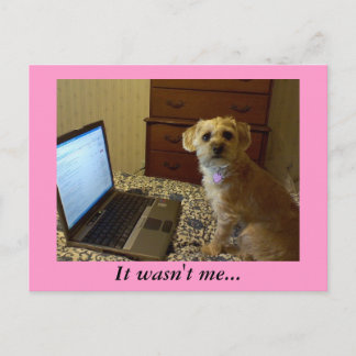 Es war nicht ich... Postkarte