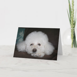 Es wird okay sein Hund Karte