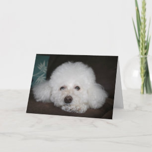 Es wird schon okay sein Hund Karte