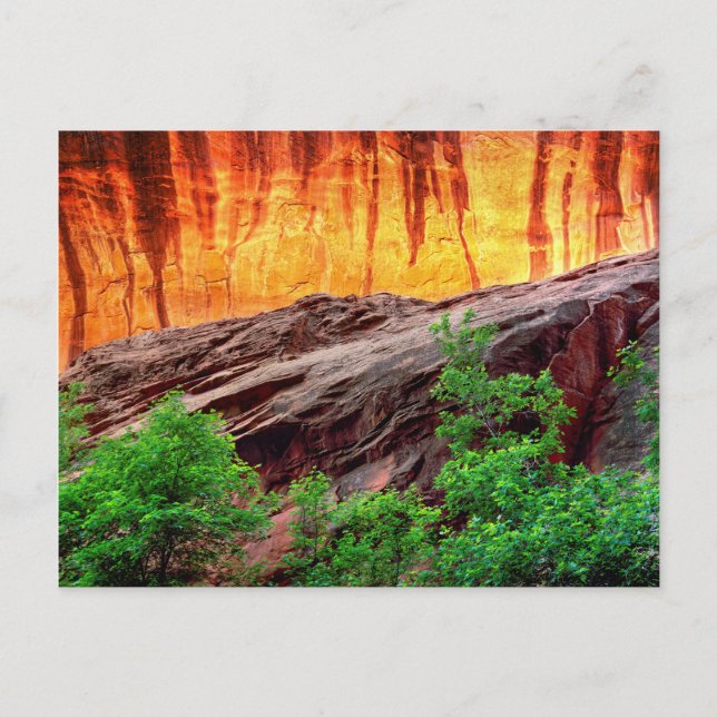 Escalante Neon Canyon und Foliage | Utah Postkarte (Vorderseite)