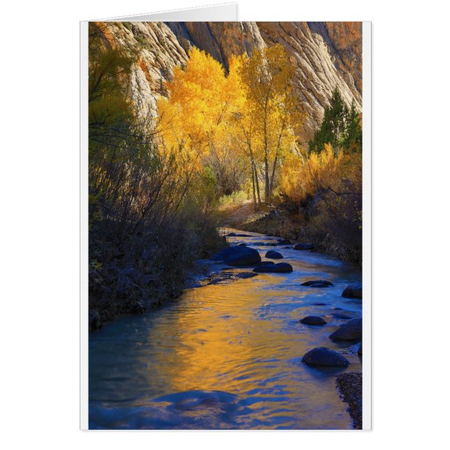 Escalante-Reflexion (Vorne)