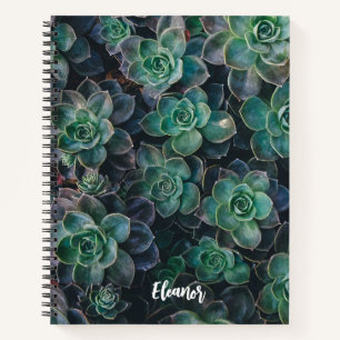 Esceveria Succulent Pflanze Themed Notebook Notizbuch