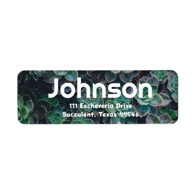Esceveria Succulent Themed Address Labels (Vorne)