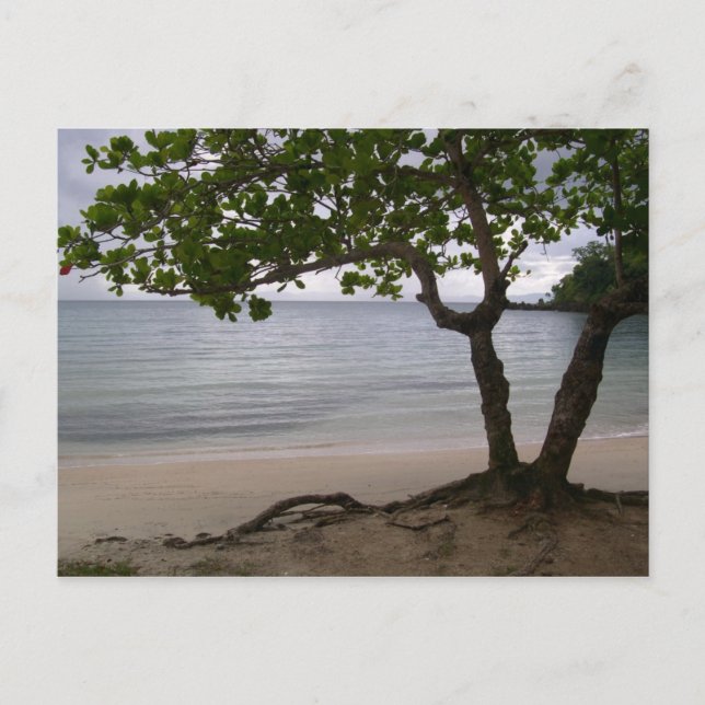 Escondido Beach Postkarte (Vorderseite)