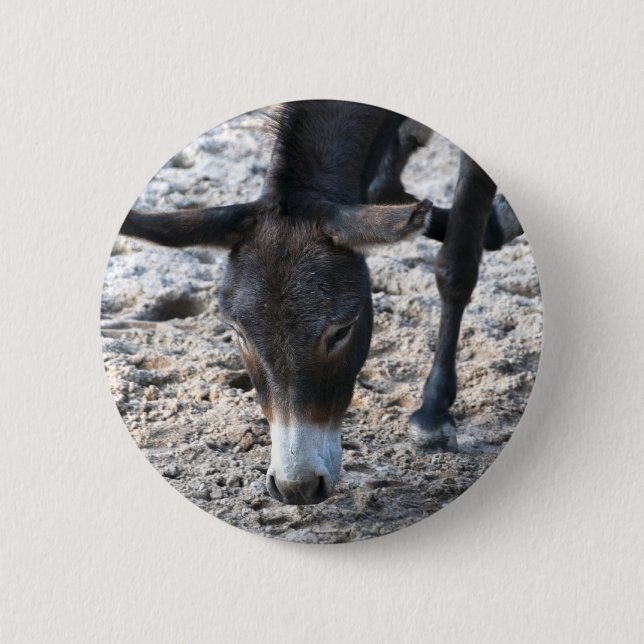 Esel Button (Vorderseite)