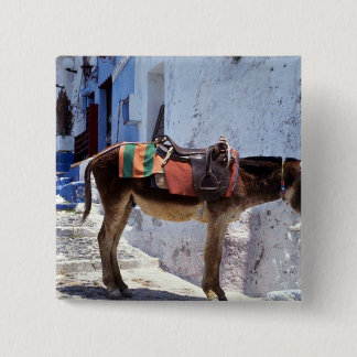 Esel, Fira Santorini, Griechenland Button