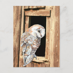 Esel im Barnfenster Tierart  Postkarte