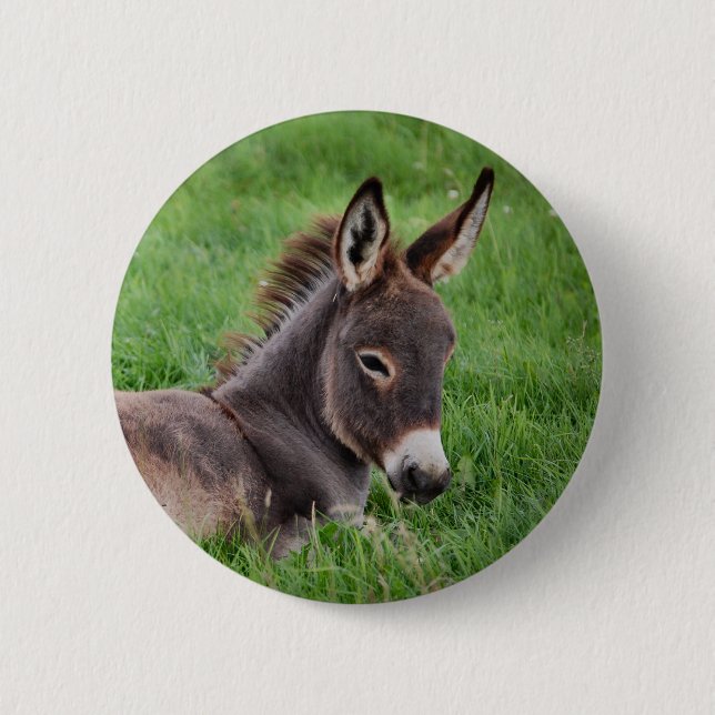 Esel im Gras Button (Vorderseite)
