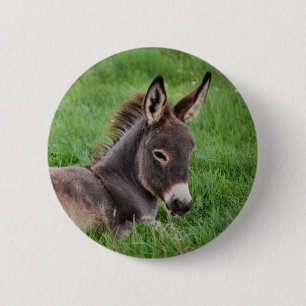 Esel im Gras Button