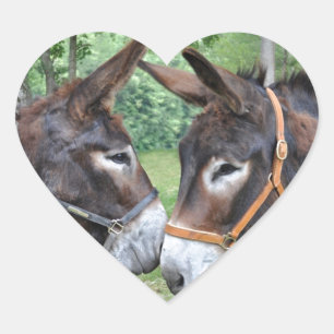 Esel in der Liebe Herz-Aufkleber