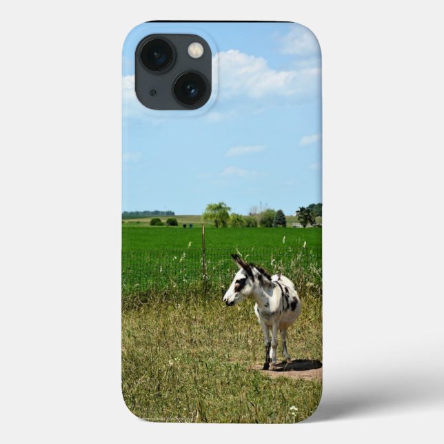 Esel in einem Feld Case-Mate iPhone Hülle (Rückseite)