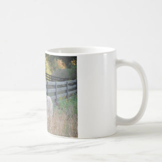 Esel in einem Herbstfeld Tasse
