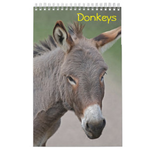 Esel-Kalender Kalender