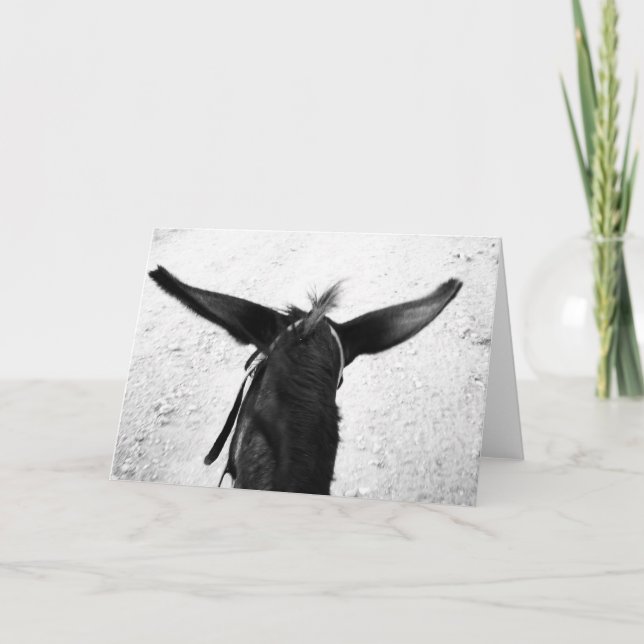 Esel Karte (Vorderseite)