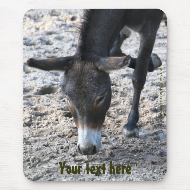 Esel-Mauspad Mousepad (Vorne)