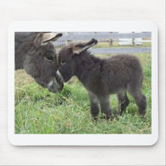 Esel Mousepad