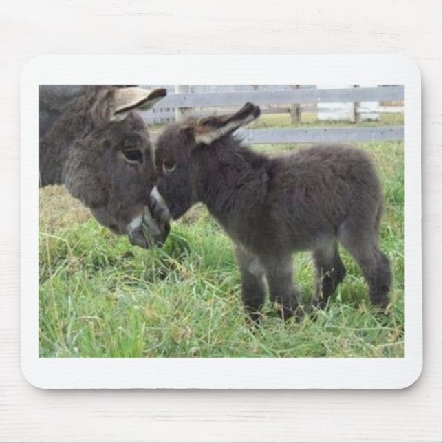 Esel Mousepad (Vorne)