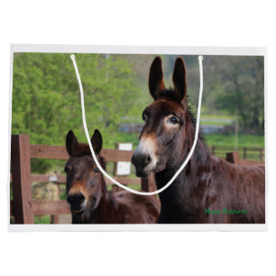 Esel, Pferd und ein exklusives Geschenk des Große Geschenktüte