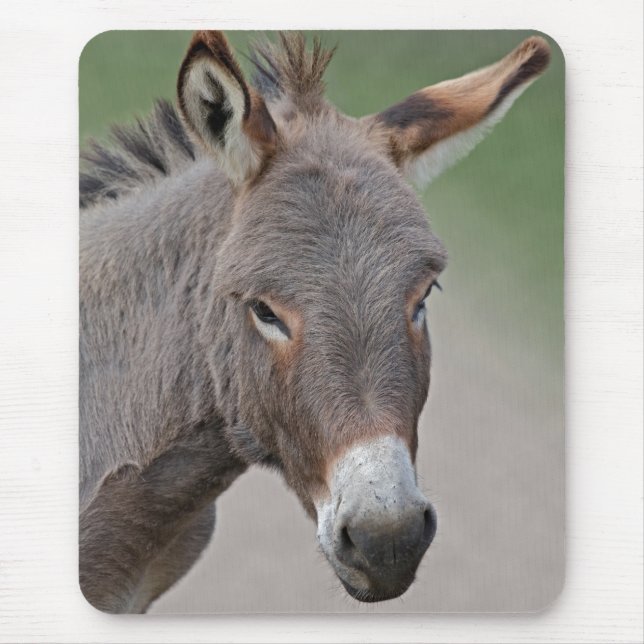 Esel-Porträt-Mauspad Mousepad (Vorne)