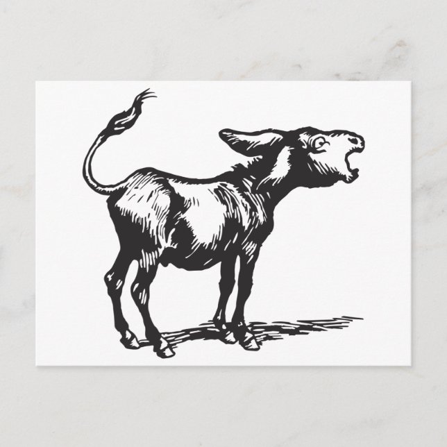 Esel Postkarte (Vorderseite)