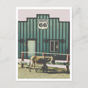 Esel Town Oatman Arizona Postkarte