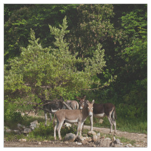 Esel unter dem Baum Stoff