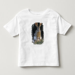 Eselhase, Lepus californicus, 2 Kleinkind T-shirt