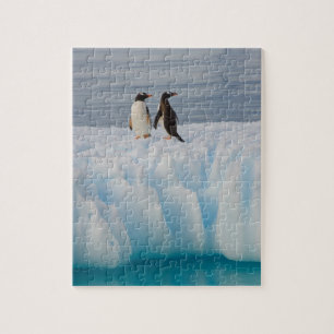 Eselspinguin, Pygoscelis Papua, auf Gletschereis Puzzle