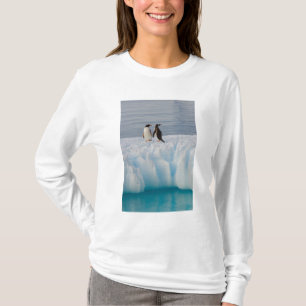 Eselspinguin, Pygoscelis Papua, auf Gletschereis T-Shirt