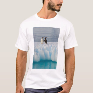 Eselspinguin, Pygoscelis Papua, auf Gletschereis T-Shirt