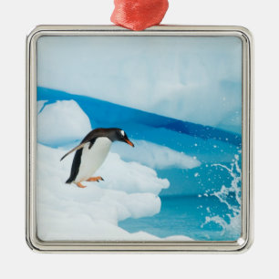 Eselspinguin, Pygoscelis Papua, springt ab Ornament Aus Metall