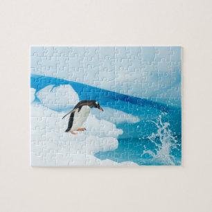 Eselspinguin, Pygoscelis Papua, springt ab Puzzle