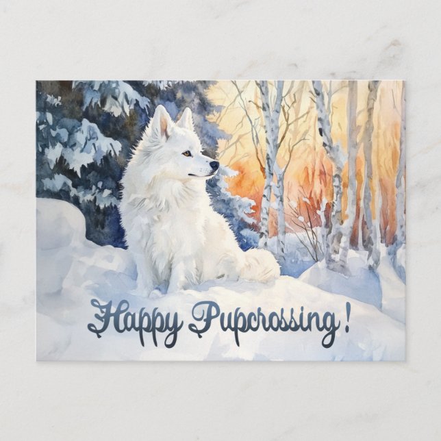 Eskie Postcross 1 - Postkarte (Vorderseite)